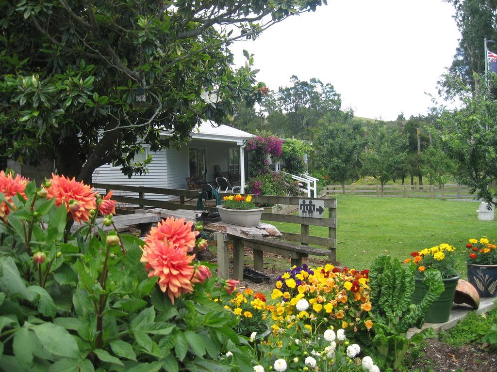 Miranda Orchard Cottage Ngoại thất bức ảnh