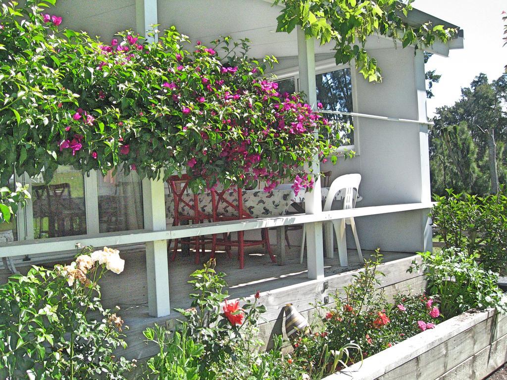 Miranda Orchard Cottage Ngoại thất bức ảnh