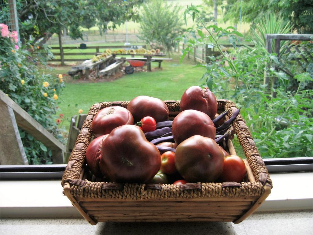 Miranda Orchard Cottage Ngoại thất bức ảnh