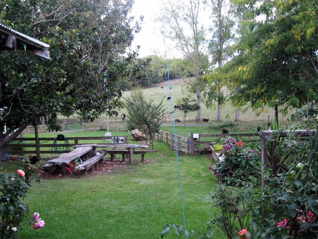 Miranda Orchard Cottage Ngoại thất bức ảnh